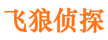 金台侦探公司